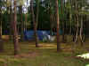 20006.jpg (88724 bytes)